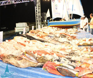   مصر اليوم - ختام البطولة العربية لصيد الأسماك في الغردقة