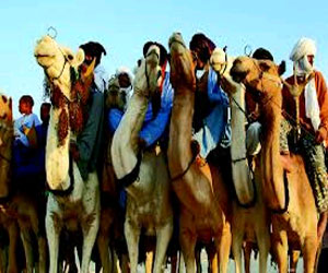   مصر اليوم - طُوارق ليبيا يتراجعون عن عدم المُشاركة في انتخابات لجنة الستين