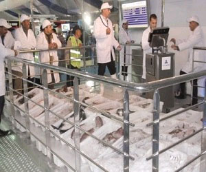   مصر اليوم - اتفاقات في ختام المعرض الدولي للصيد البحري في الجزائرية