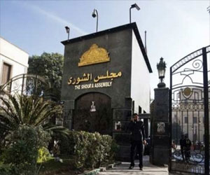   مصر اليوم - المنظمة الوطنيّة تؤكّد نجاح 30 يوينو عقب إلغاء الشورى