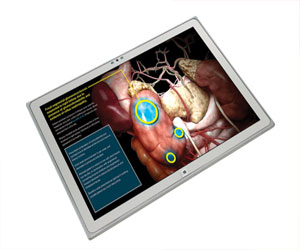 مصر اليوم - باناسونيك تعتزم إطلاق أول حاسب لوحي بدقة 4K