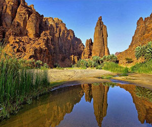   مصر اليوم - هطول أمطار على منطقة تبوك