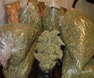   مصر اليوم - ضبط 25 كيلو بانجو بحوزة سائق في الغردقة