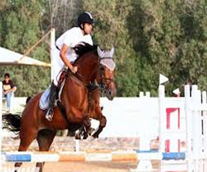   مصر اليوم - نادي الفروسية في جدة يقيم حفل سباق الخيل الثاني الخميس