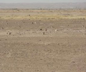   مصر اليوم - تخصيص 80 قطعة أرض لبناء مدارس جديدة في سوهاج