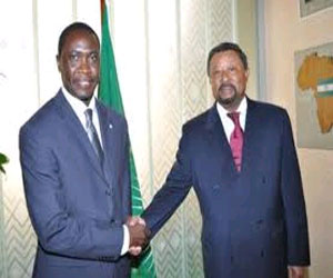   مصر اليوم - الاتحاد الأفريقي تشارك في ورشة عمل فى تنزانيا