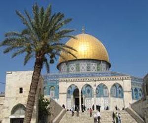   مصر اليوم - حماس: مخطط كدام التهويدي محاولة يائسة لطمس معالم القدس