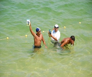   مصر اليوم - تأجيل تنظيم بطولة ليبيا للسباحة في المياه المفتوحة