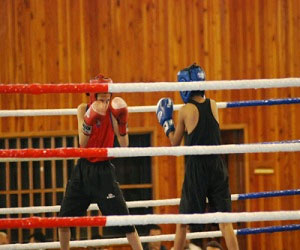   مصر اليوم - إختيار منتخب المنطقة الشرقية لرياضة الملاكمة في بنغازي