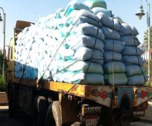   مصر اليوم - ضبط 10 أطنان ملح سياحات وسمسم غير صالح للاستخدام الآدمي في المحلة