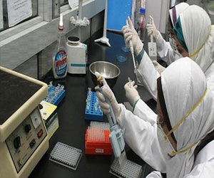   مصر اليوم - الكويت تؤكد تسجيل أول إصابة بفيروس كورونا