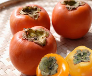   مصر اليوم - الزراعة: الكاكا الموجودة في السوق المحلية انتاج أردني