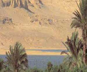   مصر اليوم - لجنة وزاريَّة لوضع حُلول جذريَّة لمواجهة تلوُّث بحيرة قارون