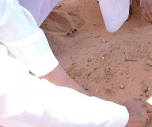   مصر اليوم - البيئة والمياه تشارك في ورشة عمل مكافحة جرائم الحياة البرية في الكويت