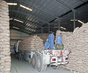   مصر اليوم - 8 قتلى في عملية نهب مستودع ارز في الفلبين