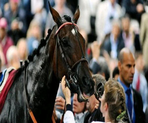 مصر اليوم - المهرة تريف تتوج بجائزة كارتيير كأفضل جواد في العالم