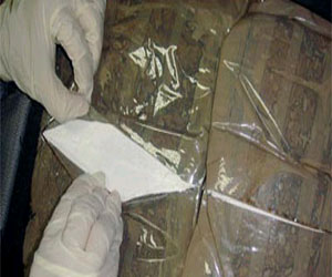   مصر اليوم - ضبط الحلوف وبحوزته ربع كيلو هيروين في المحلة