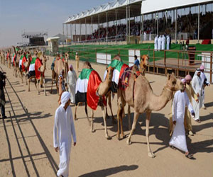   مصر اليوم - مزاينة بينونة للإبل تنطلق السبت المقبل في المنطقة الغربية