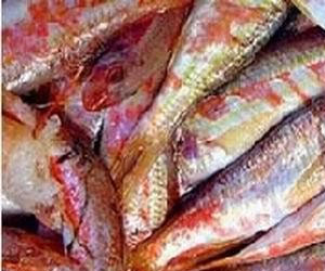   مصر اليوم - ضبط أسماك غير صالحة للإستخدام الإدمي في الغربية