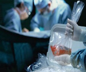   مصر اليوم - عالم مصري: الانتحال العلمي جريمة في حق مصر وعلمائها