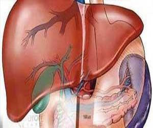   مصر اليوم - صناع الحياة تختتم حملة للتوعية ضد مرض فيروس سي في المنيا