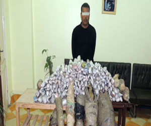   مصر اليوم - القبض على تاجر مخدرات بحوزته 15 كيلو بانجو في القليوبية