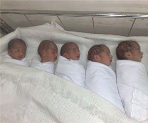   مصر اليوم - سيدة غزية ترزق بـ 6 توائم في مستشفى نابلس