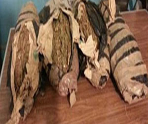   مصر اليوم - ضبط كميات من مخدر البانجو بحوزة سائق في الوادى الجديد