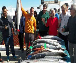   مصر اليوم - اتحادُ صيّد الأسماكِ يشكرُ أمن  البحر الأحمر