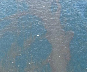   مصر اليوم - البيئة تدشن مركزًا رئيسيًا لمكافحة التلوث البحرى بالزيت في ميناء الحمراء