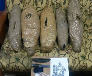   مصر اليوم - ضبط ربة منزل بحوزتها كمية من البانجو والأقراص المخدرة في قنا