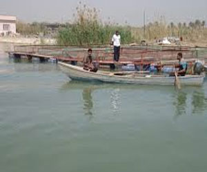 مصر اليوم - وضع تشريعات قابلة للتنفيذ لحماية الموارد الطبيعية