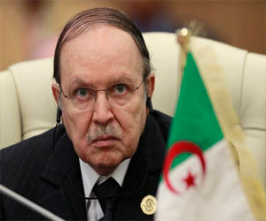 مصر اليوم - حزب جبهة التحرير الوطني الجزائري يدعو بوتفليقة لاستكمال برنامجه السياسي