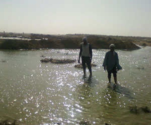   مصر اليوم - محطة الصرف الصحي تغرق 100 فدان زراعي في بني سويف