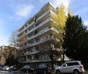   مصر اليوم - غورليت لن يتخلى بسهولة عن اللوحات الفنية التي عثر عليها في شقته