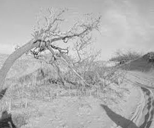   مصر اليوم - وفد بيئ في بولندا: ضرورة الوعي بالأثار السلبية للتغيرات المناخية