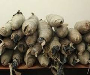   مصر اليوم - ضبط 7 طن من مُخدّر البانجو في بئر العبد شمال سيناء