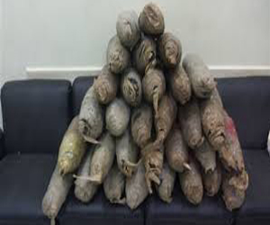   مصر اليوم - ضبط 45 مطلوبًا وتشكيل عصابيّ لترويج المُخدّرات في سيناء