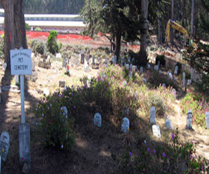   مصر اليوم - شركة تدير مقابر فى النرويج تطالب بحقها المالى بطريقة مبتكرة