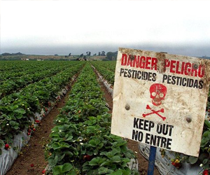   مصر اليوم - جزيرة أميركية تمنع استخدام المبيدات