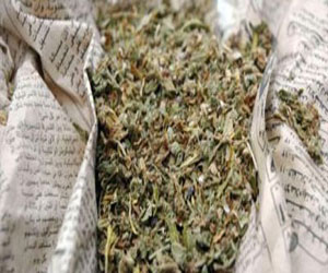   مصر اليوم - العثور على سيارة مسروقة ولفافة مخدرات في شمال سيناء