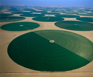   مصر اليوم - المبيدات تلوث المزروعات وتسمم السعوديين