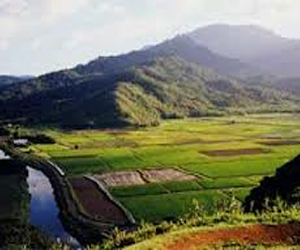 مصر اليوم - غوغل إيرث كشف فقدان 1.5 مليون كم من الغابات