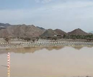   مصر اليوم - البيئة الإماراتية: 880 مليون غالون من المياه حصدتها السدود والحواجز