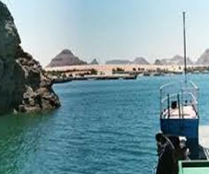   مصر اليوم - رئيس منطقة وسط الدلتا للثروة السمكية ينفي إغلاق أبواب الهيئة