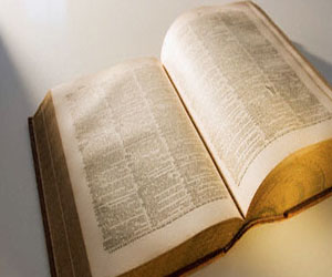   مصر اليوم - مصطلح أسترالى يفوز بلقب كلمة عام 2013 فى قواميس أوكسفورد