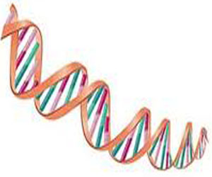   مصر اليوم - المؤتمر العربي الخامس لعلوم الوراثة البشرية يختتم فعالياته في دبي