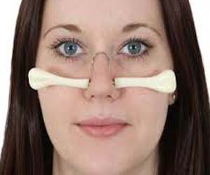   مصر اليوم - دراسة أنف الرجل أكبر منه عند المرأة لأن لديه عضلات أكثر