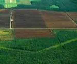   مصر اليوم - بدء أعمال ندوة مغاربية حول تأقلم قطاع الفلاحة والزراعات