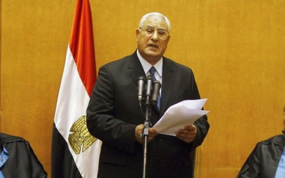   مصر اليوم - منصور يؤكّد استمرار الدعم والمساهمة المصريّة في إطار الشراكة الأفريقيّة